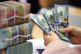 The daily reference exchange rate is set at 25,268 VND/USD on August 28. (Photo: VNA)