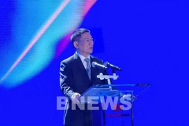 Deputy Prime Minister Ho Duc Phoc (Photo: VNA)