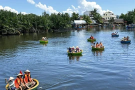 Tourists experience bamboo basket boat tours in Bay Mau nipa palm forest (Photo: VNA)