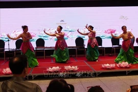 A lotus dance performance by artists from the VietAus Cultural Exchange Organisation - VACEO delighted international guests. (Photo: VNA)