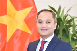 Vietnamese Ambassador to New Zealand Phan Minh Giang. (Photo: VNA)