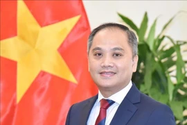 Vietnamese Ambassador to New Zealand Phan Minh Giang. (Photo: VNA)