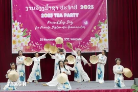 A performance by the Vietnamese delegation at the annual tea party hosted by the Lao Ministry of Foreign Affairs in Vientiane on November 25. (Photo: VNA)