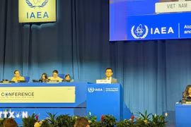 Ambassador Vu Le Thai Hoang, Permanent Representative of Vietnam to the United Nations and international organisations in Vienna, delivers remarks at the meeting. (Photo published by VNA)