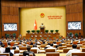 At the meeting (Photo: VNA)