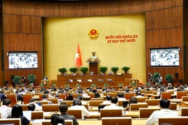 At the meeting (Photo: VNA)