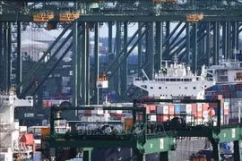 Pasir Panjan Port in Singapore (Photo: Xinhua) 