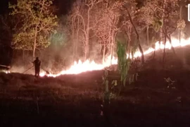 Illustrative image (Photo: Internet)