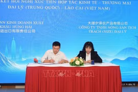 Lao Cai and Dali businesses sign cooperation agreement (Photo: VNA)