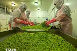 Workers process soybean products for export at a factory of An Giang Food and Vegetables Joint Stock Company in An Giang province (Photo: VNA)