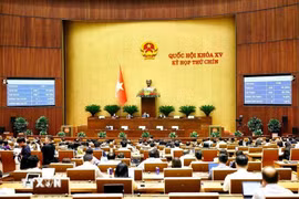 The National Assembly adopts the Law on amendments and supplements to certain articles of the Penal Code (Photo: VNA)