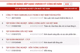 The list of top 500 largest enterprises in Vietnam 2025