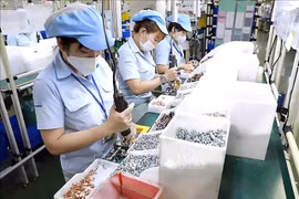 Workers at a foreign factory in HCM City. (Photo: VNA)