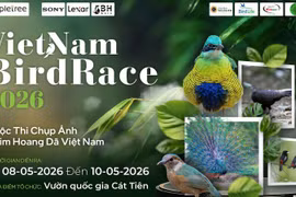 This May marks the third time the country’s largest wildlife bird photography competition has been held. (Photo: Vietnam BirdRace 2026 organising committee)