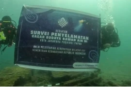 A diving team from the Papua Cultural Preservation Center (BPK) discovers nine World War II relics in the waters off Jayapura, Papua. (Photo: Antara)