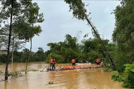 Rescue forces work urgently to evacuate 270 students trapped at Na Ri Ethnic Boarding School. (Photo published by VNA)