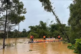 Rescue forces work urgently to evacuate 270 students trapped at Na Ri Ethnic Boarding School. (Photo published by VNA)