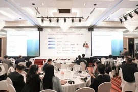 An overview of the 8th Vietnam Onshore Offshore Wind and Energy Storage Summit (Photo: VNA)