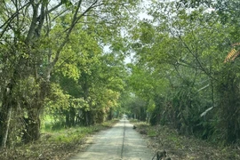 On the road to the U Minh Thuong National Park (Photo: VNA)