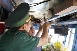 A border guard officer in Gia Lai inspects the vessel monitoring system before allowing a fishing boat to depart. (Photo: VNA)