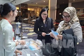 A Malaysian holidaymaker get information about Vietnam's destinations. (Photo: VNA)
