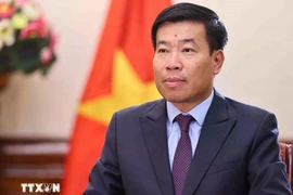 Vietnamese Deputy Minister of Foreign Affairs Nguyen Manh Cuong (Photo: VNA)