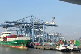 Total import-export turnover surpassed 762 billion USD, marking a 17.4% increase compared to the same period last year. (Photo: VietnamPlus)