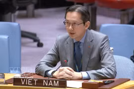 Ambassador Do Hung Viet, Permanent Representative of Vietnam to the UN, speaks at the discussion. (Photo: VNA)