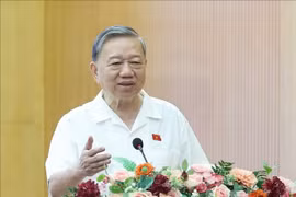 Party General Secretary To Lam addresses the meeting with voters from Ba Dinh, Hai Ba Trung, and Dong Da districts on April 17. (Photo: VNA)