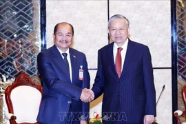 General Secretary of the Communist Party of Vietnam (CPV) Central Committee To Lam (Right) meets with President of the Lao Front for National Construction (LFNC) Kikeo Khaykhamphithoune in Vientiane on February 5. (Photo: VNA)
