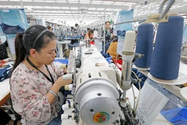 Apparel is a major contributor to Vietnam's exports (Photo: VNA)