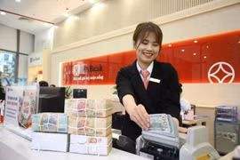 SeABank made strong impression as it posted a year-on-year surged of 189% in pre-tax profit. (Photo: VietnamPlus)
