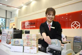 SeABank made strong impression as it posted a year-on-year surged of 189% in pre-tax profit. (Photo: VietnamPlus)