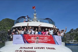The guests pose for a group photo as part of their trip around Lan Ha Bay in Hai Phong on July 17. (Photo: VNA)