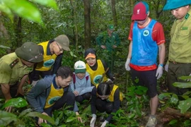 Tourists take part in the "Going home" tour at Cuc Phuong National Park. (Photo: nhandan.vn)