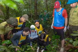 Tourists take part in the "Going home" tour at Cuc Phuong National Park. (Photo: nhandan.vn)