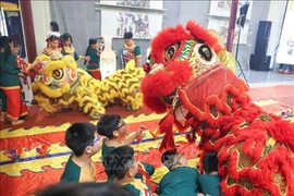 Mid-Autumn Festival in Hanoi’s Old Quarter is an annual event much loved by children (Photo: VNA)