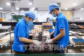 In October alone, the food and catering services group rises 0.59% month-on-month, contributing 0.20 percentage points to overall CPI growth (Photo: VNA)
