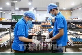 In October alone, the food and catering services group rises 0.59% month-on-month, contributing 0.20 percentage points to overall CPI growth (Photo: VNA)