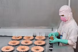Processing shrimp for export. (Photo: VNA)