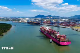Tan Cang - Cai Mep international port (Photo: VNA)