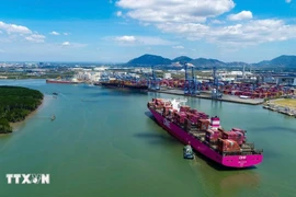 Tan Cang - Cai Mep international port (Photo: VNA)