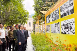At the exhibition (Photo: VNA)
