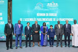 Delegates pose for a photo at the closing session of the APF Executive Committee's meeting. (Photo: VNA)