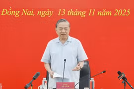 Party General Secretary To Lam speaks at a working session with Dong Nai province's representatives on the construction of the Long Thanh International Airport on November 13, 2025(Photo: VNA)