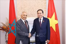 NA Chairman Tran Thanh Man (L) receives Mustapha El Ktiri, President of the Morocco–Vietnam Friendship Association (MVFA), in Rabat on the morning of July 26 (local time) (Photo: VNA)