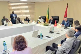 An overview of the working session (Photo: VNA)