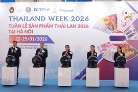 Delegates perform the opening ceremony. (Photo: VNA)