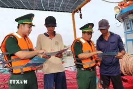 Disseminating information on the fight against IUU fishing for fishermen (Photo: VNA)