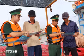 Disseminating information on the fight against IUU fishing for fishermen (Photo: VNA)